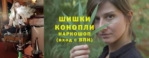 сатива Волосово