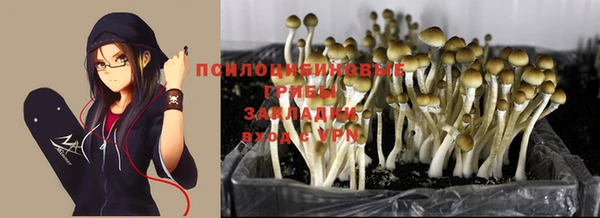 стафф Володарск