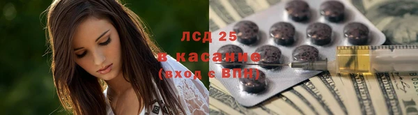сатива Волосово