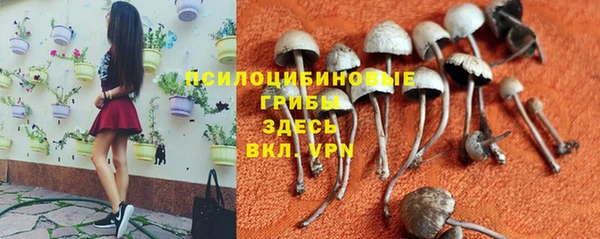 стафф Володарск