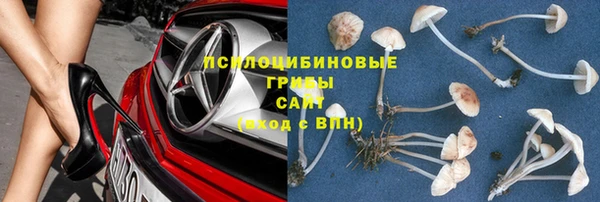 стафф Володарск