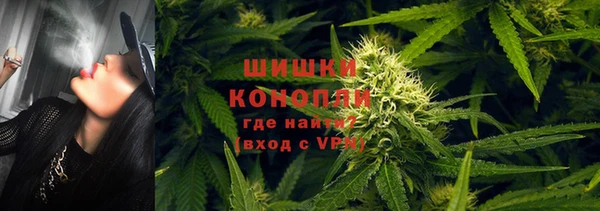 стафф Володарск