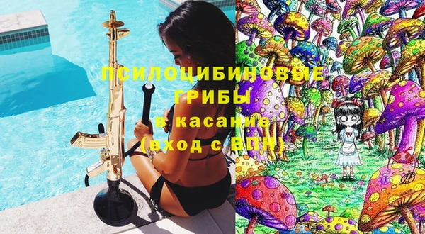 сатива Волосово