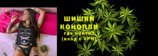 сатива Волосово