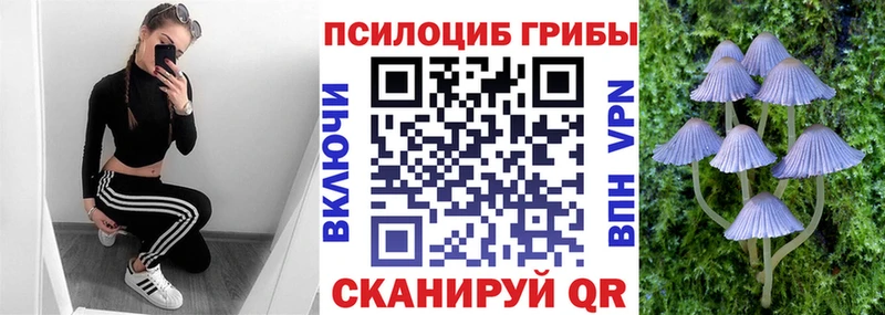 Галлюциногенные грибы Magic Shrooms Калязин